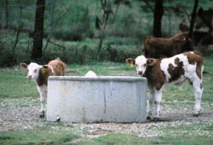 Application Note 01 Agricultural Water Tank Monitoring Water Tank Animals